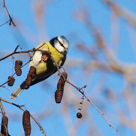 ��������� �� �����