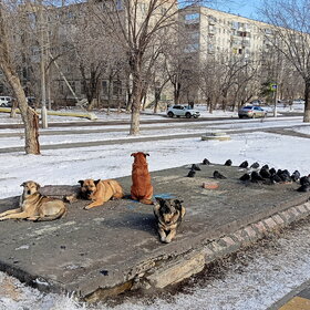 ����� ��������� ������...