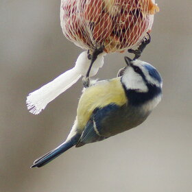 ���������