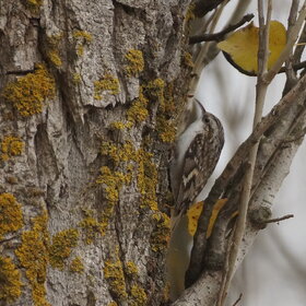 ������������ ������