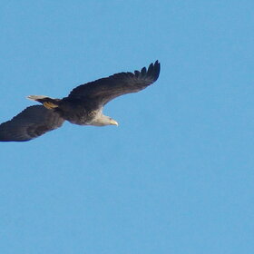 �����-���������