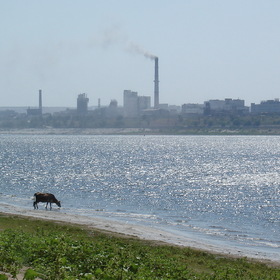 Вид на Волгоград с острова Сарпинский