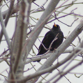 ׸���� �����