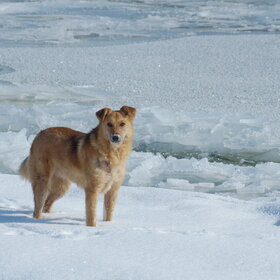 ����� �� �� ������ �����